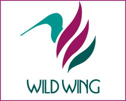 Wild Wing Avocet