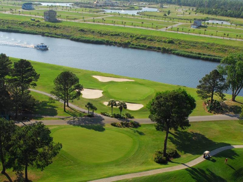 myrtlewood palemtto
